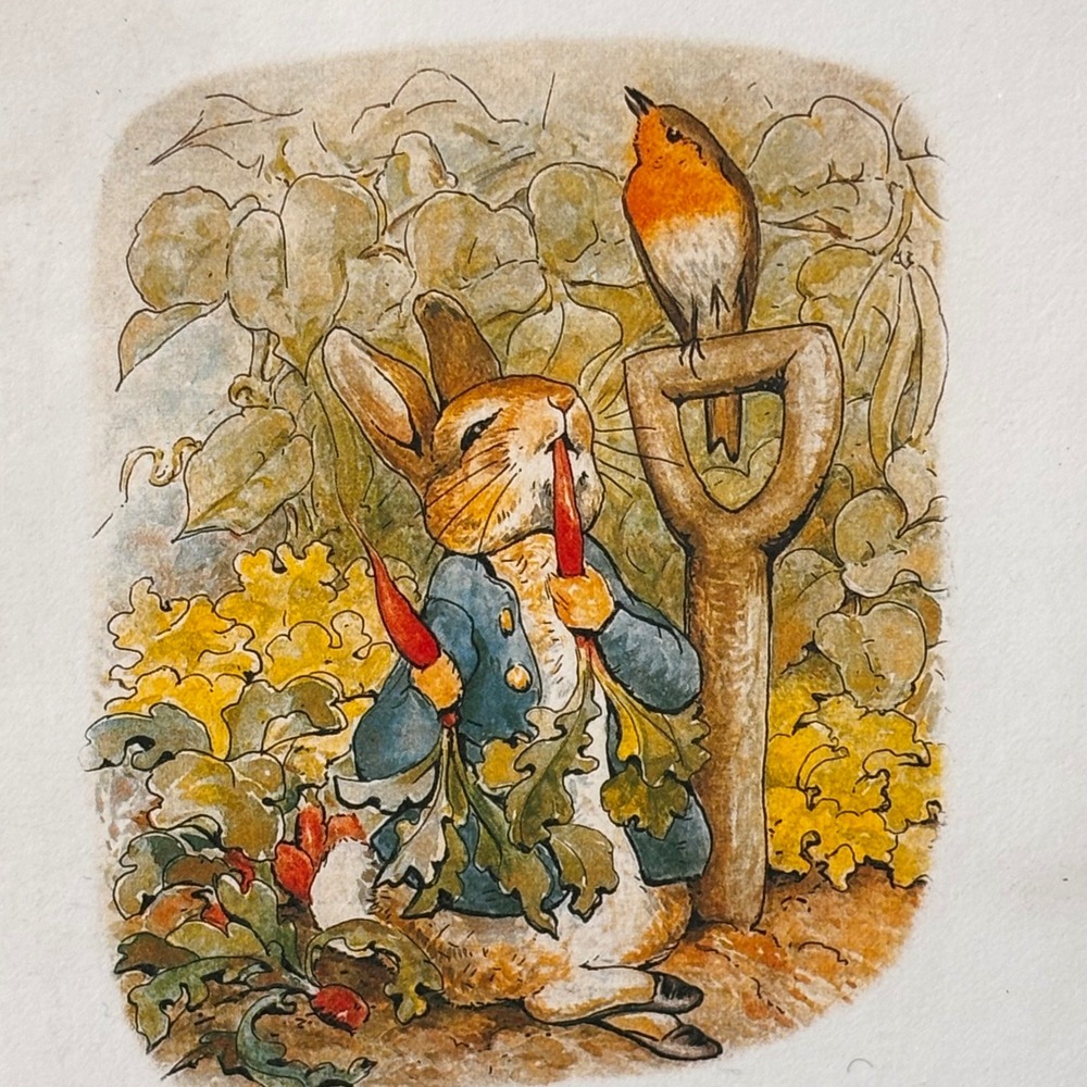 Vintage 1994 Peter Rabbit Beatrix Potter 10 Note Cards &‎ Envelopes Michel & Co